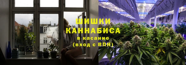 стаф Няндома